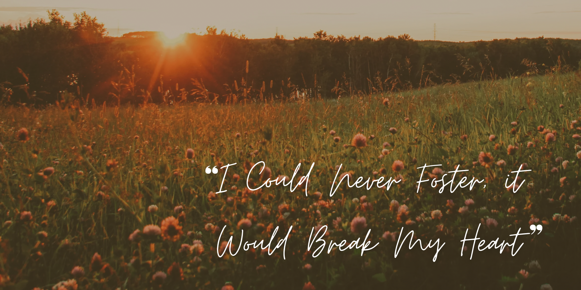 “I Could Never Foster, it Would Break my Heart.”